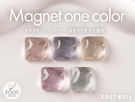 マグネット ワンカラー