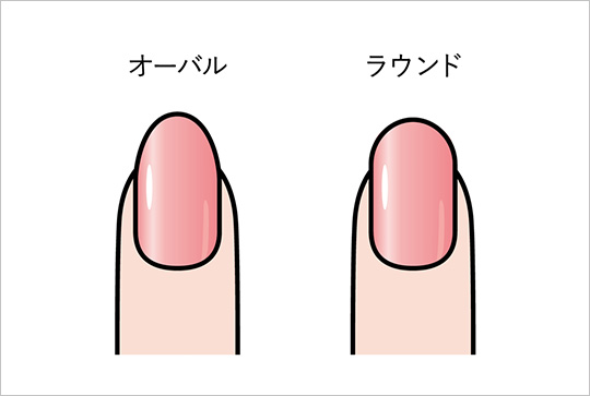 オーバル型とラウンド型の形の違い